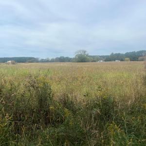 Photo #9 of - SEASIDE CIRCLE, PARKSLEY, VA 3.2 acres