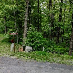 Photo #37 of 7 & 23 WOLFTRAP LN, WINTERGREEN RESORT, VA 0.8 acres