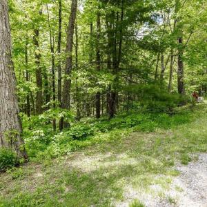 Photo #9 of 7 & 23 WOLFTRAP LN, WINTERGREEN RESORT, VA 0.8 acres