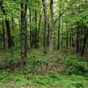 Photo #34 of 7 & 23 WOLFTRAP LN, WINTERGREEN RESORT, VA 0.8 acres