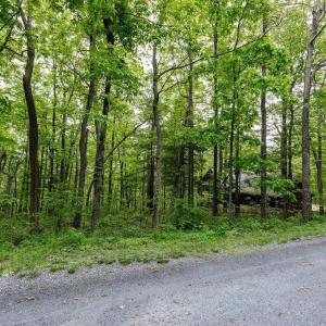 Photo #1 of 7 & 23 WOLFTRAP LN, WINTERGREEN RESORT, VA 0.8 acres