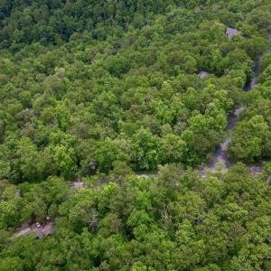 Photo #18 of 7 & 23 WOLFTRAP LN, WINTERGREEN RESORT, VA 0.8 acres