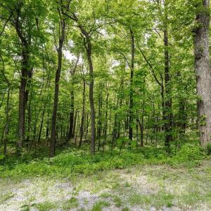 Photo #8 of 7 & 23 WOLFTRAP LN, WINTERGREEN RESORT, VA 0.8 acres