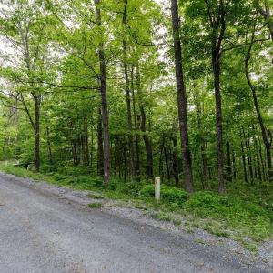 Photo #3 of 7 & 23 WOLFTRAP LN, WINTERGREEN RESORT, VA 0.8 acres