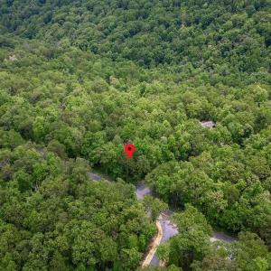 Photo #17 of 7 & 23 WOLFTRAP LN, WINTERGREEN RESORT, VA 0.8 acres