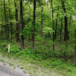 Photo #35 of 7 & 23 WOLFTRAP LN, WINTERGREEN RESORT, VA 0.8 acres