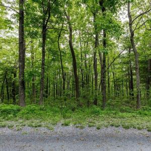 Photo #2 of 7 & 23 WOLFTRAP LN, WINTERGREEN RESORT, VA 0.8 acres