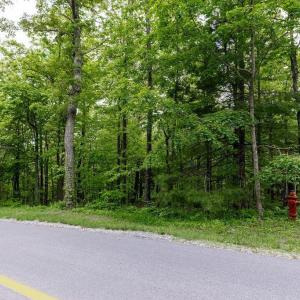 Photo #7 of 7 & 23 WOLFTRAP LN, WINTERGREEN RESORT, VA 0.8 acres