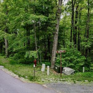 Photo #38 of 7 & 23 WOLFTRAP LN, WINTERGREEN RESORT, VA 0.8 acres