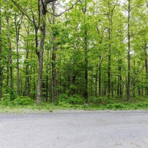 Photo #4 of 7 & 23 WOLFTRAP LN, WINTERGREEN RESORT, VA 0.8 acres