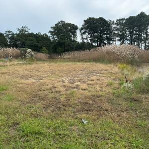 Photo #3 of Lot 76 MAIN ST, CHINCOTEAGUE, VA 0.5 acres