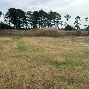 Photo #4 of Lot 76 MAIN ST, CHINCOTEAGUE, VA 0.5 acres