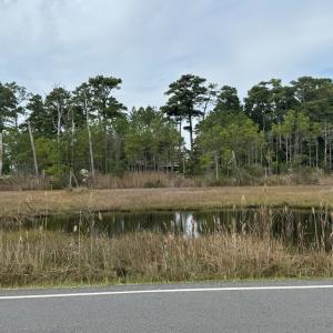 Photo #5 of Lot 76 MAIN ST, CHINCOTEAGUE, VA 0.5 acres