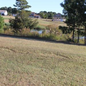 Photo #3 of 165 CAPTAINS CORRIDOR, GREENBACKVILLE, VA 68.0 acres