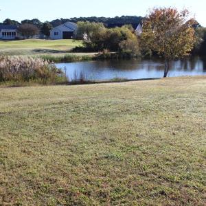 Photo #4 of 165 CAPTAINS CORRIDOR, GREENBACKVILLE, VA 68.0 acres