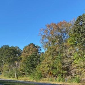 Photo #3 of GOSPEL TEMPLE RD, KELLER, VA 16.0 acres
