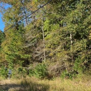 Lankford Hwy Frontage