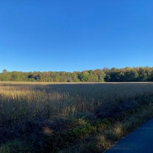 Photo #10 of GOSPEL TEMPLE RD, KELLER, VA 55.0 acres