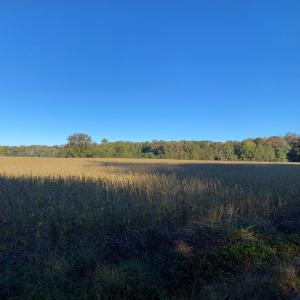 Photo #6 of GOSPEL TEMPLE RD, KELLER, VA 55.0 acres