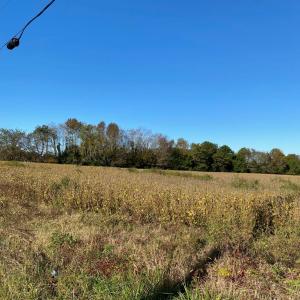Photo #7 of GOSPEL TEMPLE RD, KELLER, VA 55.0 acres