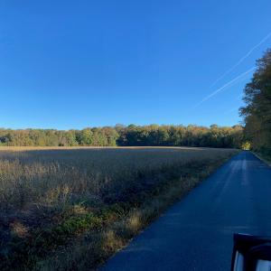 Photo #9 of GOSPEL TEMPLE RD, KELLER, VA 55.0 acres