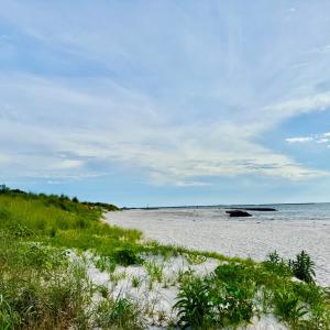 Photo #4 of Lot 4 WASHINGTON AVE, CAPE CHARLES, VA 0.1 acres