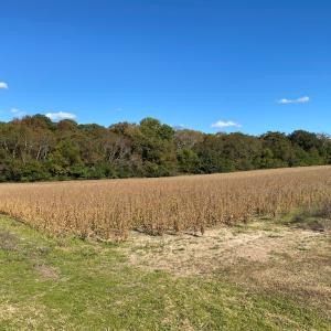 front corner of parcel