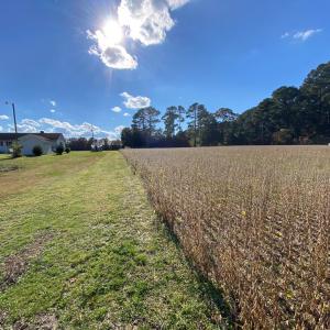 right of way view towards road