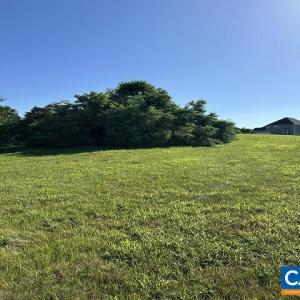 Photo #9 of 140 ANA MARIE BLVD, WAYNESBORO, VA 0.6 acres