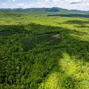 Photo #25 of GREEN CREEK RD, SCHUYLER, VA 110.0 acres