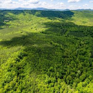 Photo #24 of GREEN CREEK RD, SCHUYLER, VA 110.0 acres