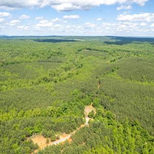 Photo #30 of GREEN CREEK RD, SCHUYLER, VA 110.0 acres