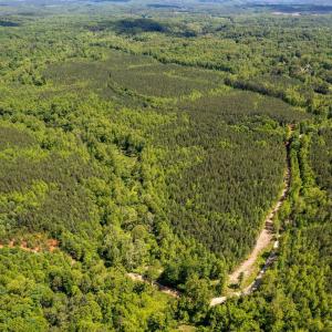 Photo #2 of GREEN CREEK RD, SCHUYLER, VA 110.0 acres