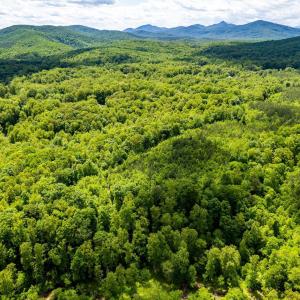 Photo #27 of GREEN CREEK RD, SCHUYLER, VA 110.0 acres