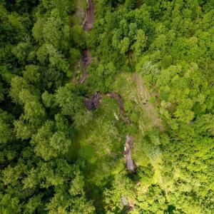 Photo #26 of GREEN CREEK RD, SCHUYLER, VA 110.0 acres