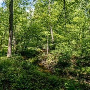 Photo #5 of GREEN CREEK RD, SCHUYLER, VA 110.0 acres