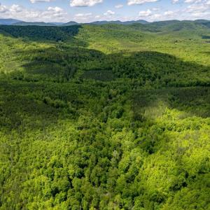 Photo #23 of GREEN CREEK RD, SCHUYLER, VA 110.0 acres