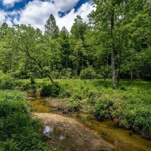 Photo #3 of GREEN CREEK RD, SCHUYLER, VA 110.0 acres
