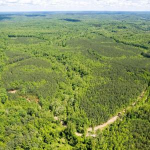 Photo #29 of GREEN CREEK RD, SCHUYLER, VA 110.0 acres