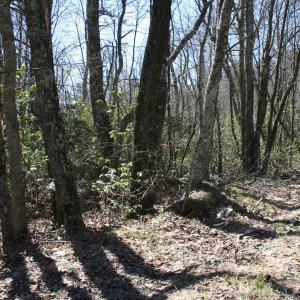 Photo #2 of Lot 90 SUMMIT DR, MONTEREY, VA 5.0 acres