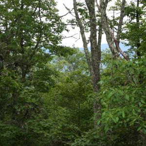 Photo #3 of Lot 90 SUMMIT DR, MONTEREY, VA 5.0 acres