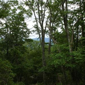 Photo #9 of Lot 90 SUMMIT DR, MONTEREY, VA 5.0 acres