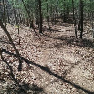 Photo #6 of 0 ROLLINS FORD ROAD, AMISSVILLE, VA 73.9 acres