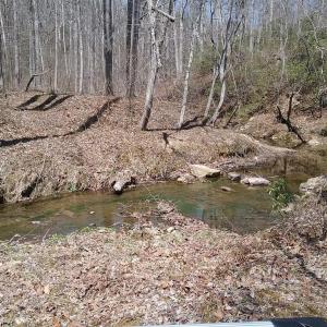 Photo #16 of 0 ROLLINS FORD ROAD, AMISSVILLE, VA 73.9 acres
