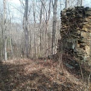 Photo #20 of 0 ROLLINS FORD ROAD, AMISSVILLE, VA 73.9 acres