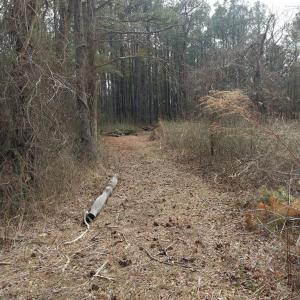 Photo #10 of 50 ac BELINDA RD, SANFORD, VA 50.0 acres