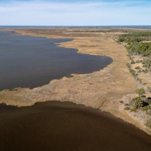 Photo #2 of 50 ac BELINDA RD, SANFORD, VA 50.0 acres