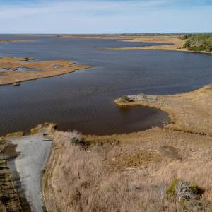 Photo #7 of 50 ac BELINDA RD, SANFORD, VA 50.0 acres