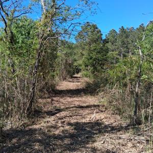 Photo #10 of 50 ac BELINDA RD, SANFORD, VA 50.0 acres