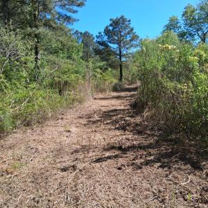 Photo #11 of 50 ac BELINDA RD, SANFORD, VA 50.0 acres